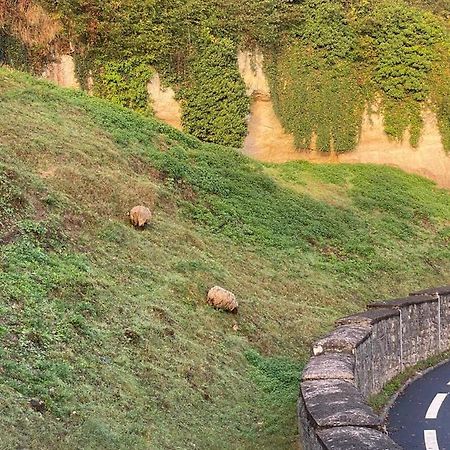 Appart' Cosy En Bord De Loire Saumur Eksteriør bilde